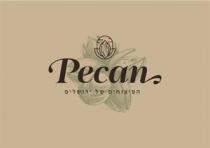 Pecan הפיצוחים של ירושלים