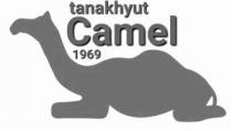Tanakhyut Camel 1969
