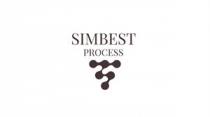 SIMBEST PROCESS