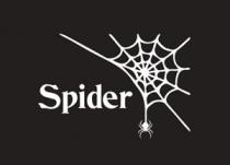 spider