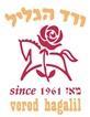 vered hagalil since 1961 ורד הגליל מאז 1961