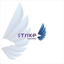 strike consulting