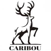 CARIBOU