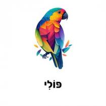 פולי