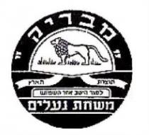מבריק משחת נעלים