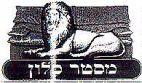 מסטר סלון