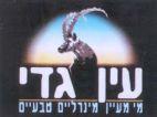 עין גדי מי מעיין מינרלים טבעיים