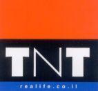 TNT realife.co.il