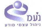 נ ע מ ניהול עצמי מודע