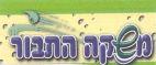 משקה התבור