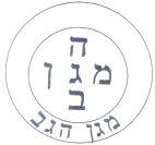 מגן הגב