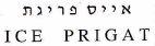 ICE PRIGAT אייס פריגת