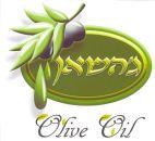 Olive Oil ג'השאן