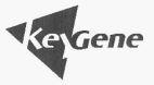 KEYGENE