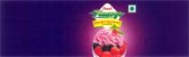 AMUL FLAAVYO WITH WORD FROZEN YOGHURT WILD BERRY SLEEVE