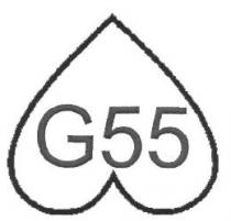 G55