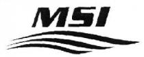 MSI