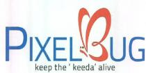 PIXELBUG keep the 'keeda' alive