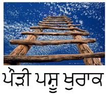 PAUDI PASHU KHURAK