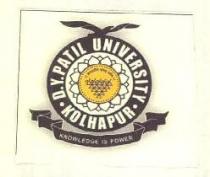D.Y. PATIL UNIVERSITY KOLHAPUR