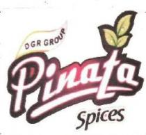 DGR GROUP PINATA SPICES