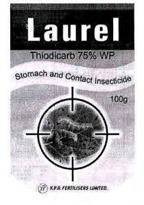Laurel