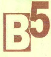 B5