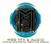 MSG VFX & AUDIO MIXING MASTERING INSTITUTE WORLD