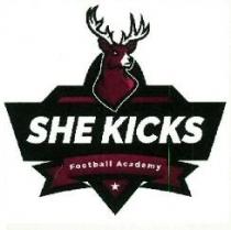 SHE KICKS FOOTBALL ACADEMY