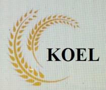 KOEL