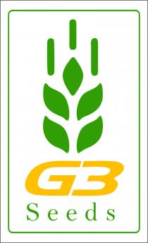 G3 SEEDS