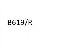 B619R