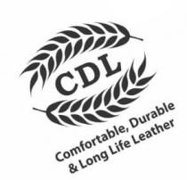 CDL