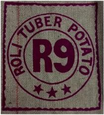 ROLI TUBER POTATO R9