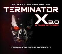 TERMINATOR X3.0
