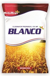 BLANCO