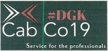 DGK Cab Co19