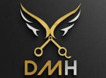 DMH