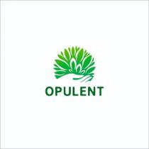 OPULENT
