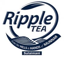 RIPPLE TEA SULAIMANI
