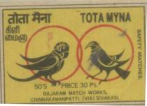 TOTA MYNA