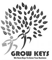 Grow Keys - We have keys to Grow your business