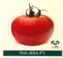 RIA 834 F1