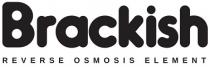 BRACKISH REVERSE OSMOSIS ELEMENT