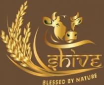 SHIVE- BLESSED BY NATURE
