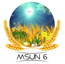 MSUN 6