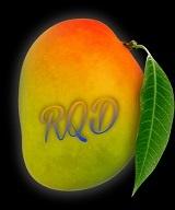 RQD