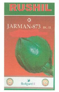 RUSHIL JARMAN 873 OF COTTON SEEDS