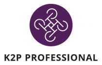 K2P PROFESSIONAL