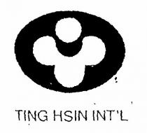TING HSIN INT'L